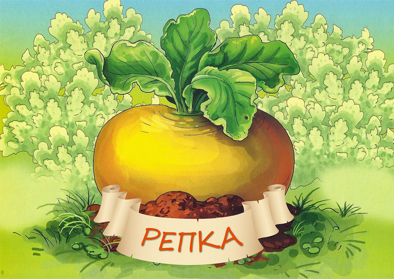 Репка