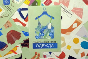 Одежда