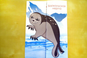 Байкальская нерпа