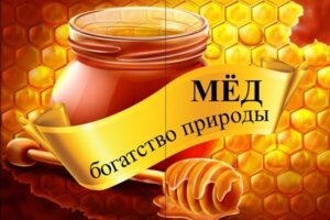 Мёд - богатство природы