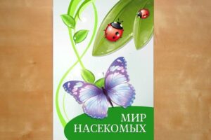 Мир насекомых