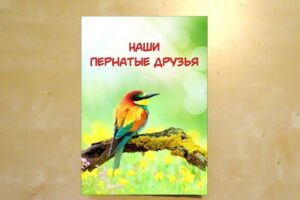 Наши пернатые друзья